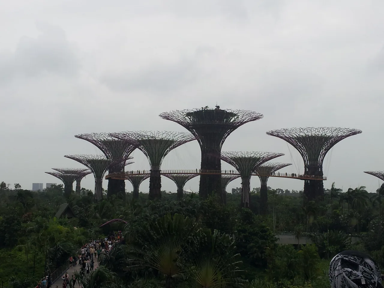 Gardens by the Bay Supertree Grove by day, symbolising Singapore's range of things to do