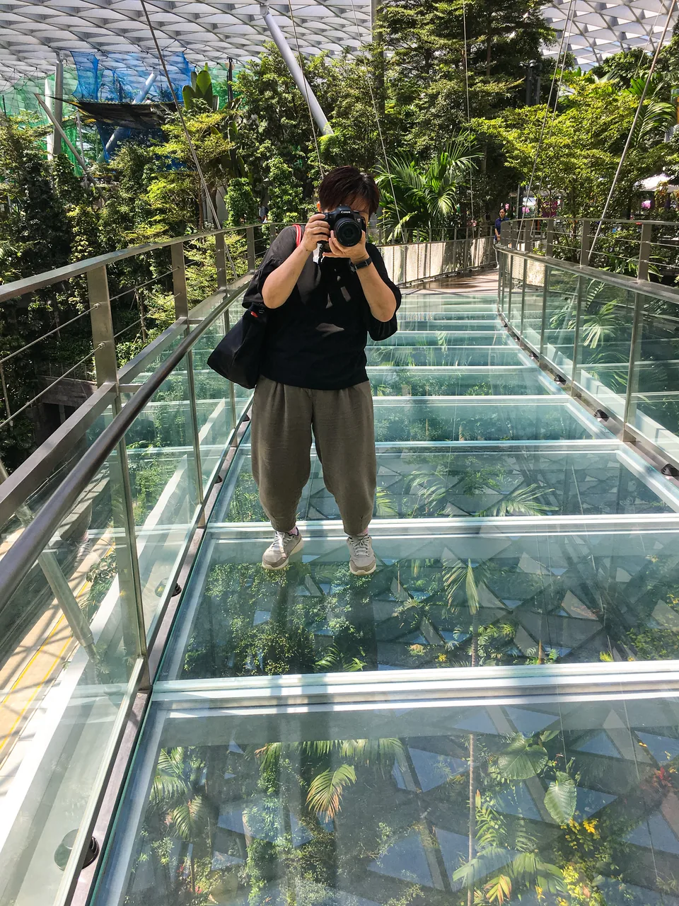 The glass-bottomed Mastercard Canopy Bridge in Canopy Park at Jewel Changi
