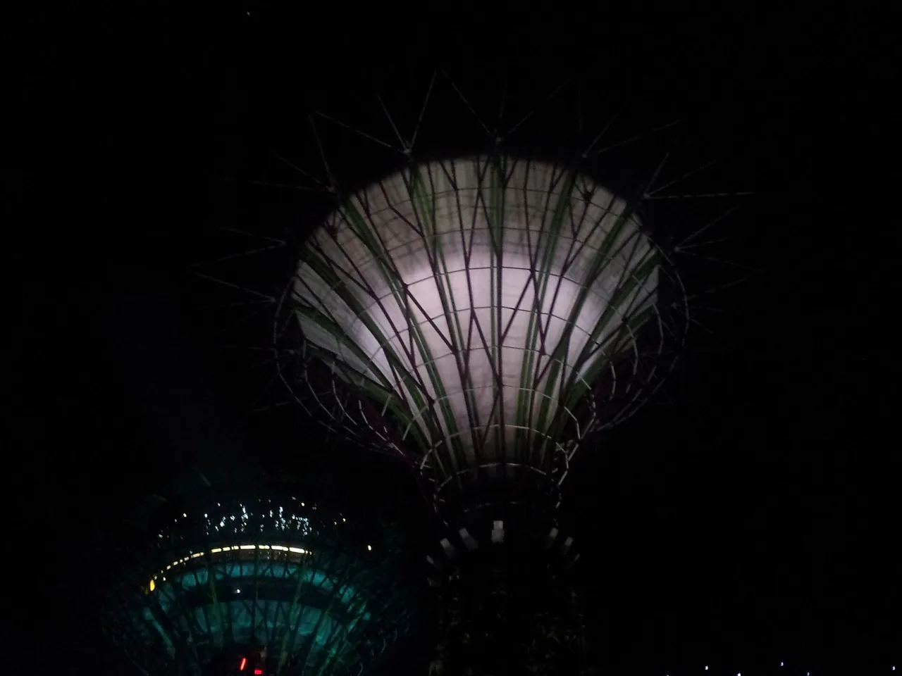 The Supertrees lit up at night at Gardens by the Bay, Singapore