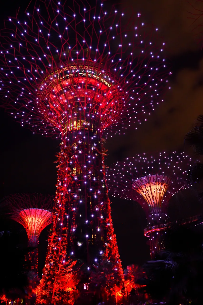 The illuminated Supertree Grove during the Garden Rhapsody night show The illuminated Supertree Grove during the Garden Rhapsody night show