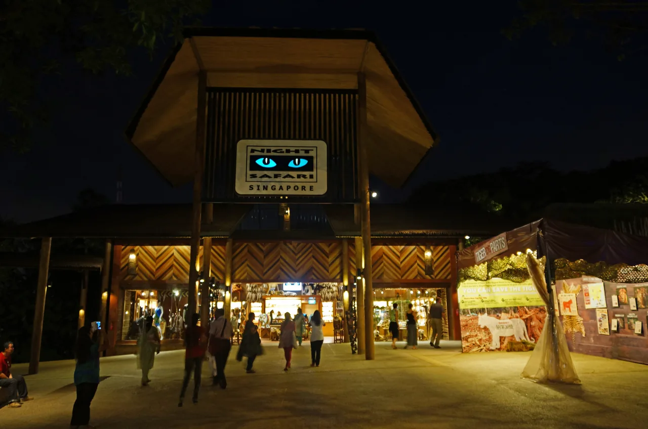 The lantern-lit entrance of the Night Safari in Singapore at night, with its glowing cat-eyes sign