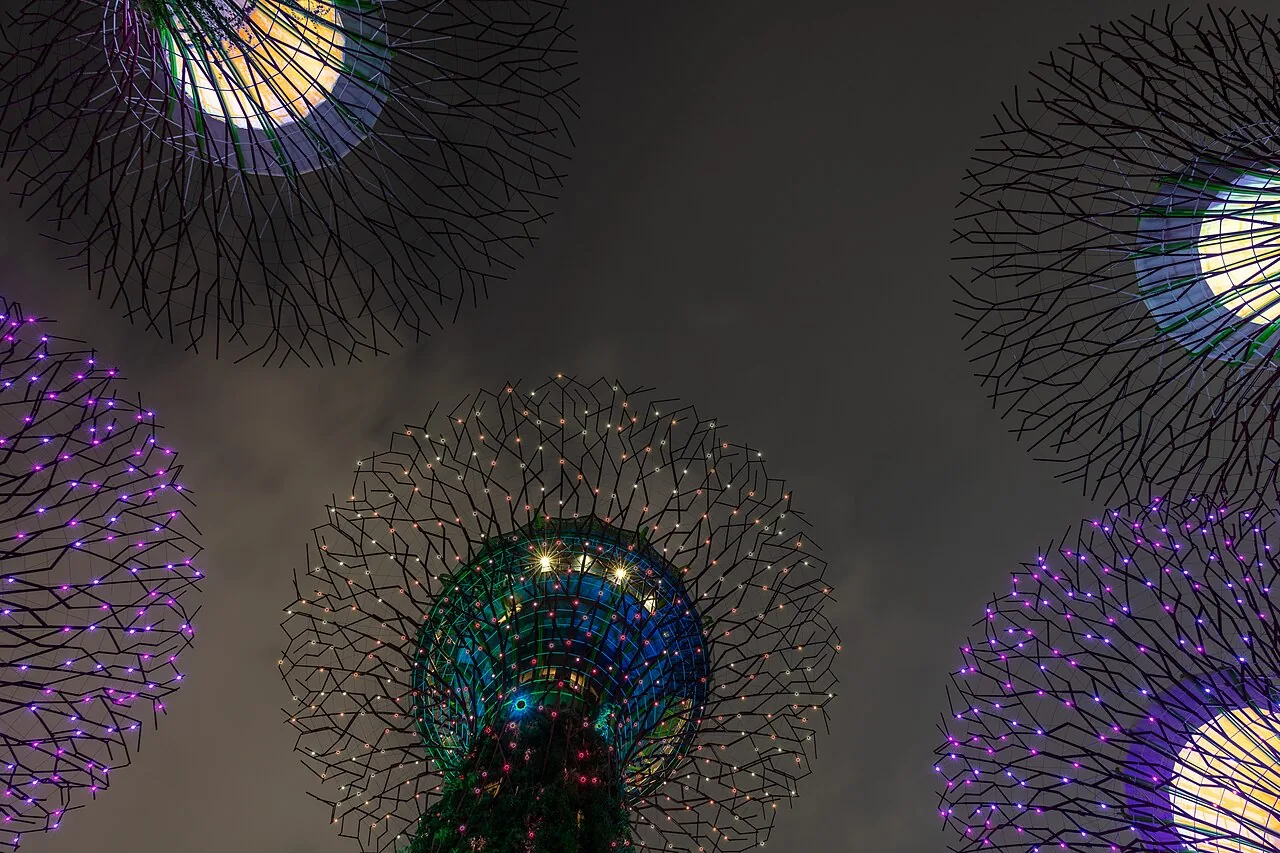 The Supertrees illuminated at night at Gardens by the Bay