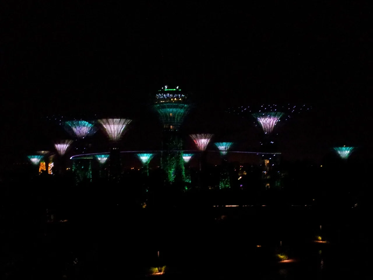 The Supertrees illuminated at night at Gardens by the Bay