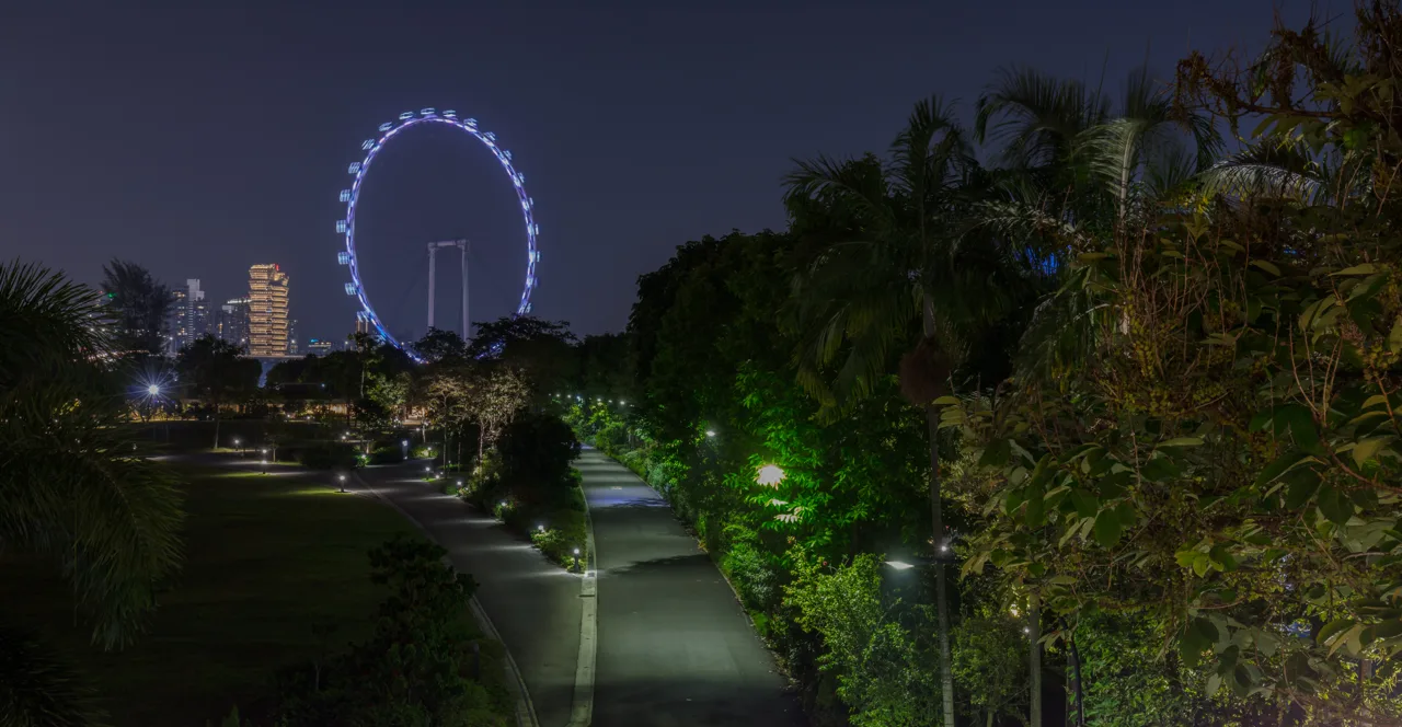 The Singapore Flyer lit at night above a park path lined with palms and street lamps