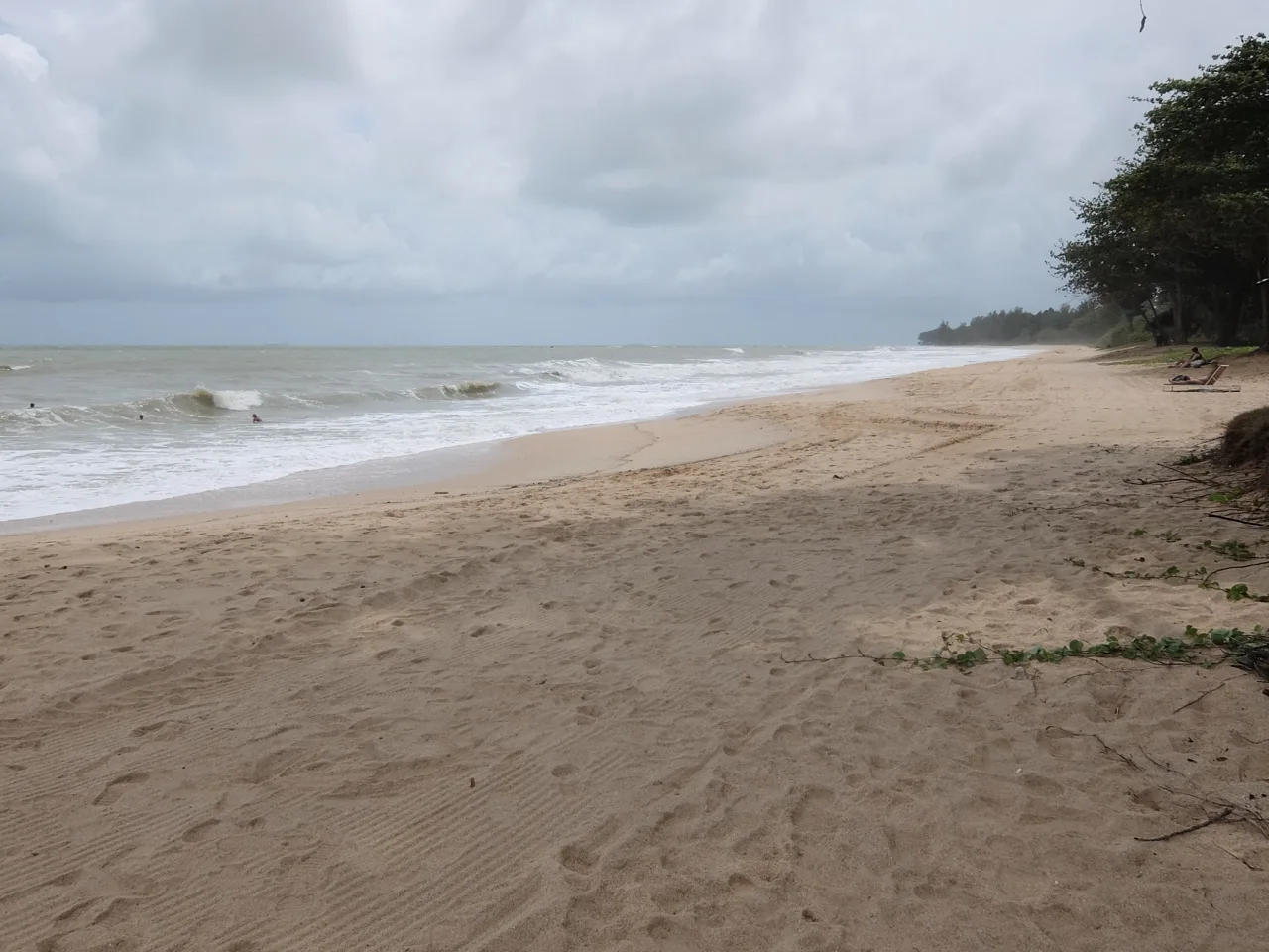 The long sandy sweep of the public beach at Desaru under an overcast sky, with trees along the shoreline