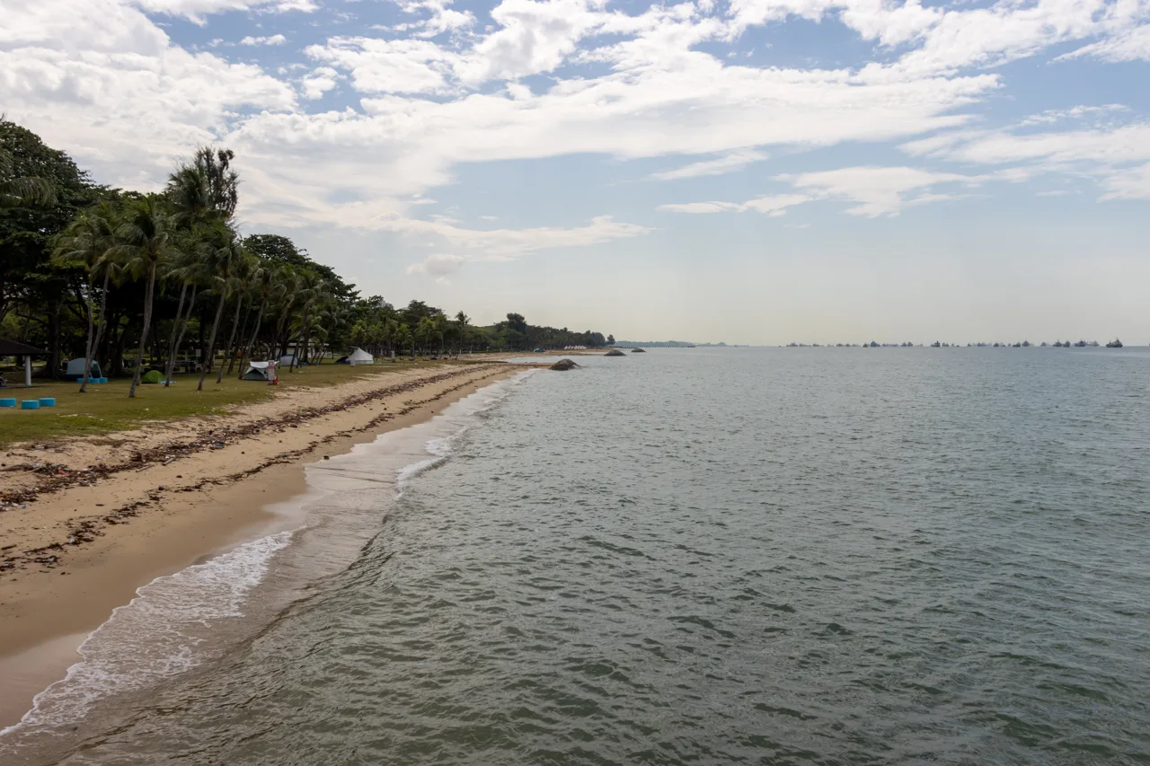 The sand beach at East Coast Park with palm trees, tents on the grass and ships on the horizon The sand beach at East Coast Park with palm trees, tents on the grass and ships on the horizon