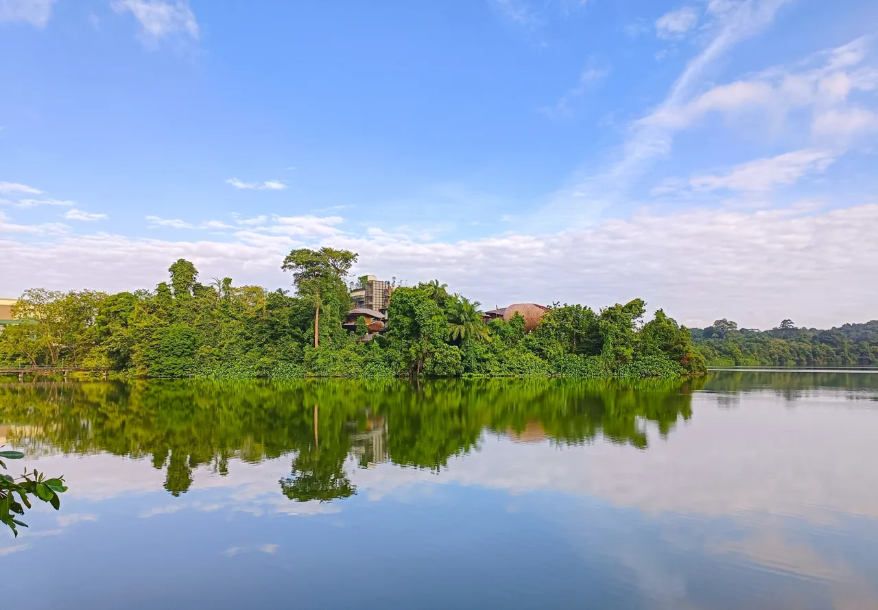 The Upper Seletar Reservoir seen from Mandai Boardwalk, with forest reflected in still water
