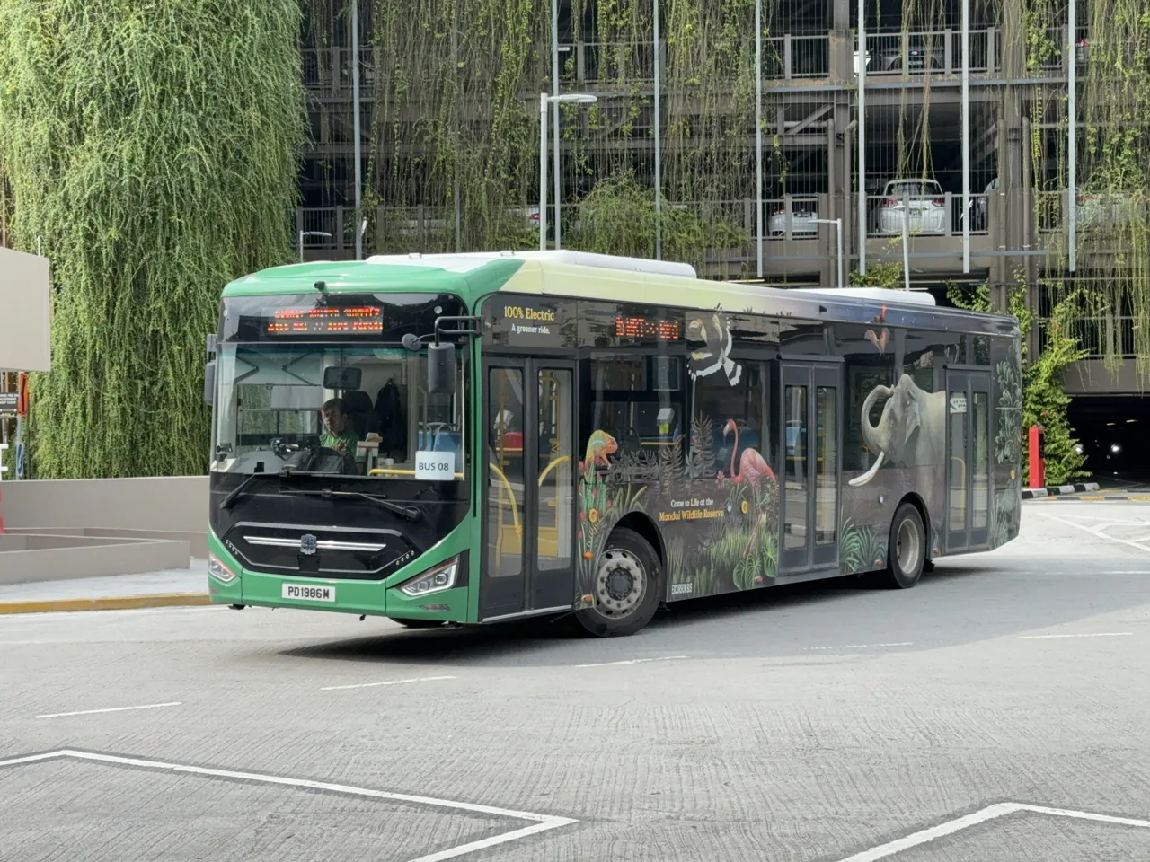 A green Mandai Wildlife Reserve shuttle bus with animal artwork driving through the transport hub