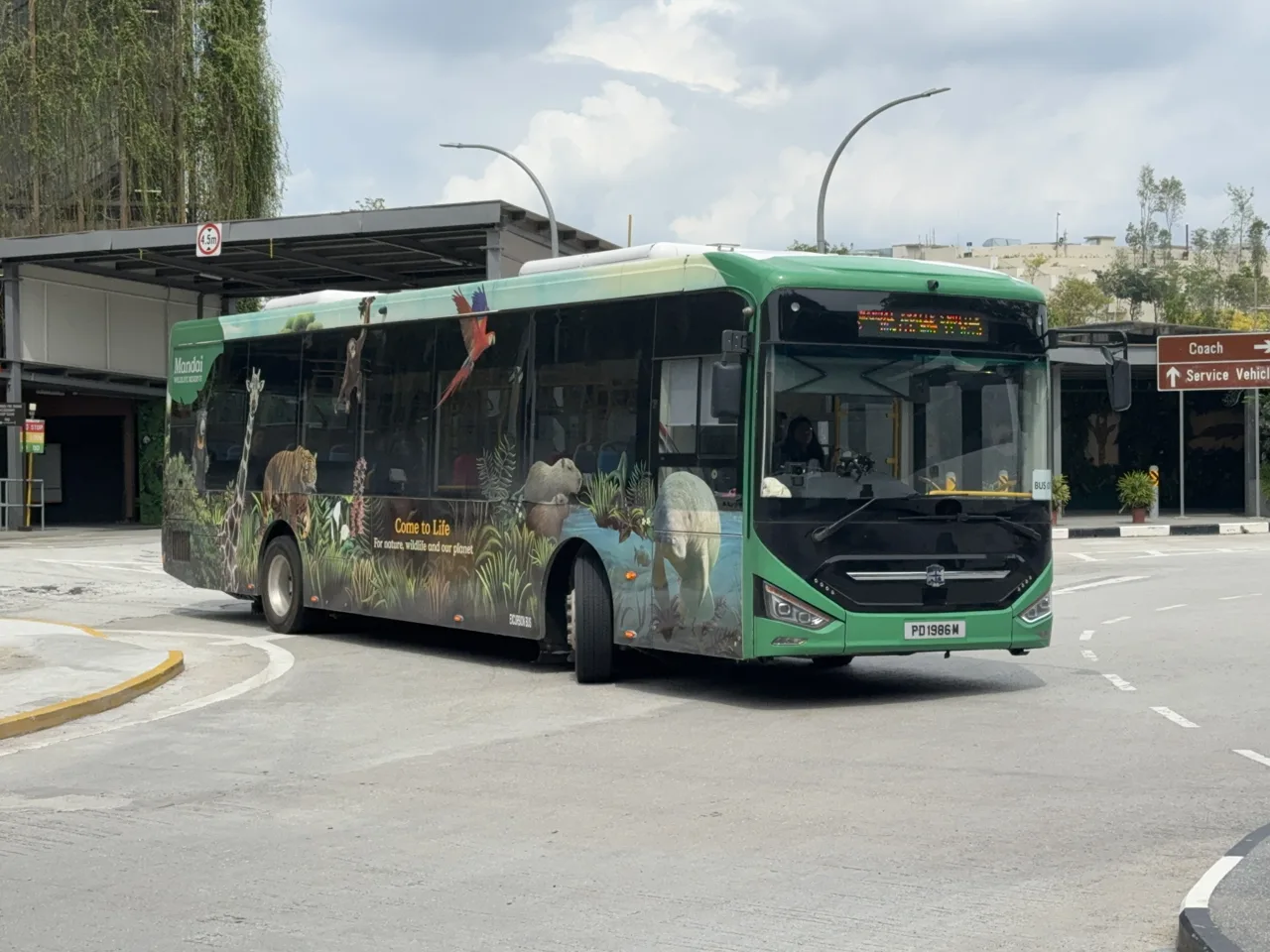 The Mandai Wildlife Reserve shuttle bus waiting at a stop