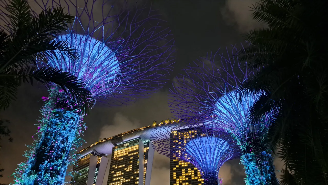 Supertrees lit blue at night above palm trees, with the three towers of Marina Bay Sands behind them