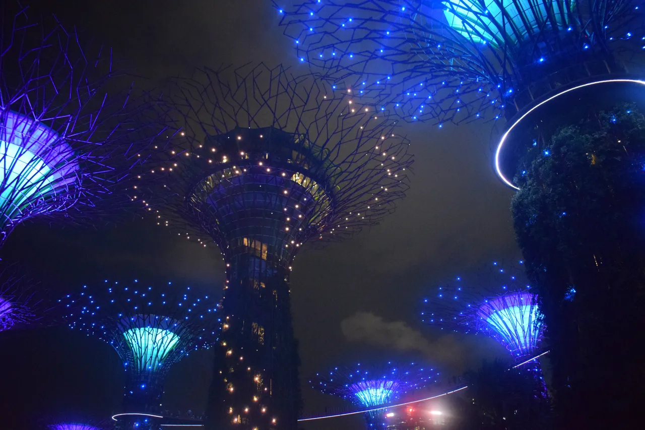 Supertrees lit in blue and purple against a night sky during the light show at Gardens by the Bay