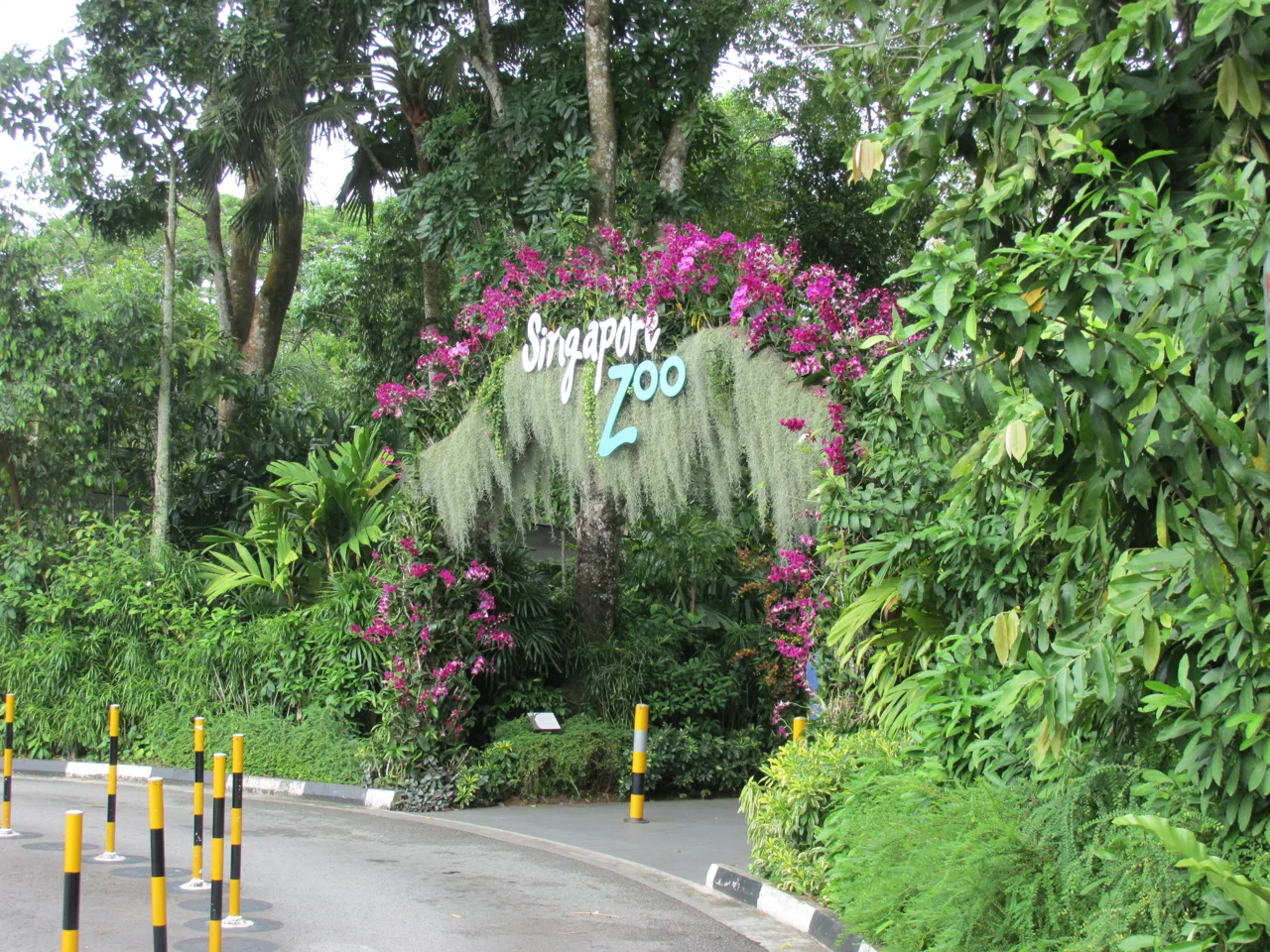 The flower covered Singapore Zoo archway on the approach road to the park