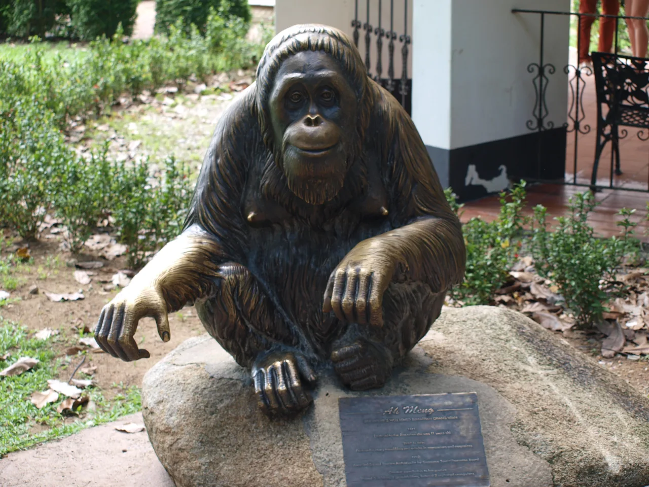 A bronze statue of the orangutan Ah Meng seated on a plinth at Singapore Zoo