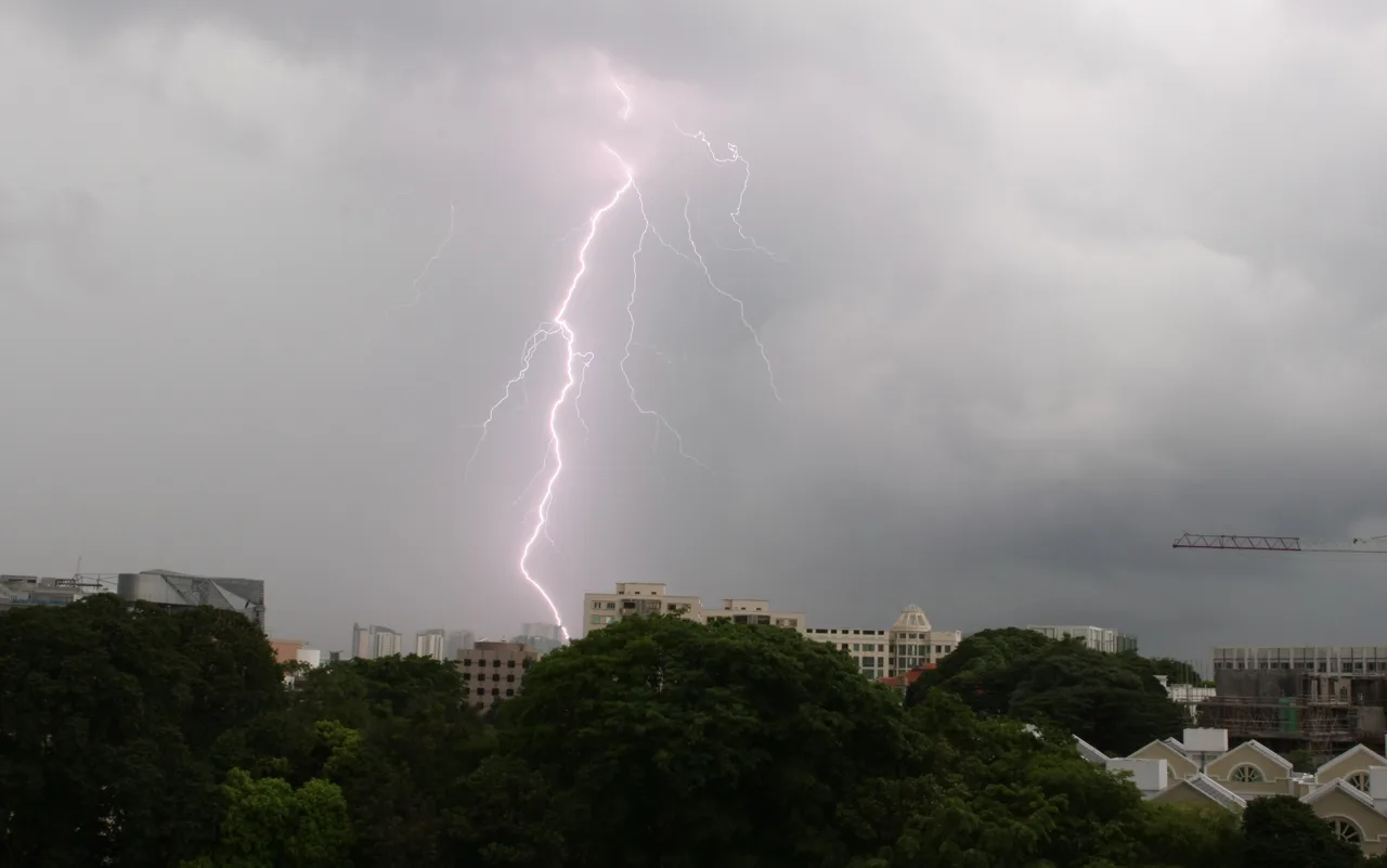灰色の雲から木々とマンションの上に落ちる稲妻