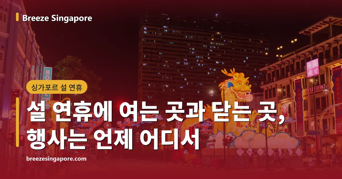 밤의 차이나타운 뉴 브리지 로드, 교차로 가운데 금빛 용 등불과 도로 위 네온 용 아치