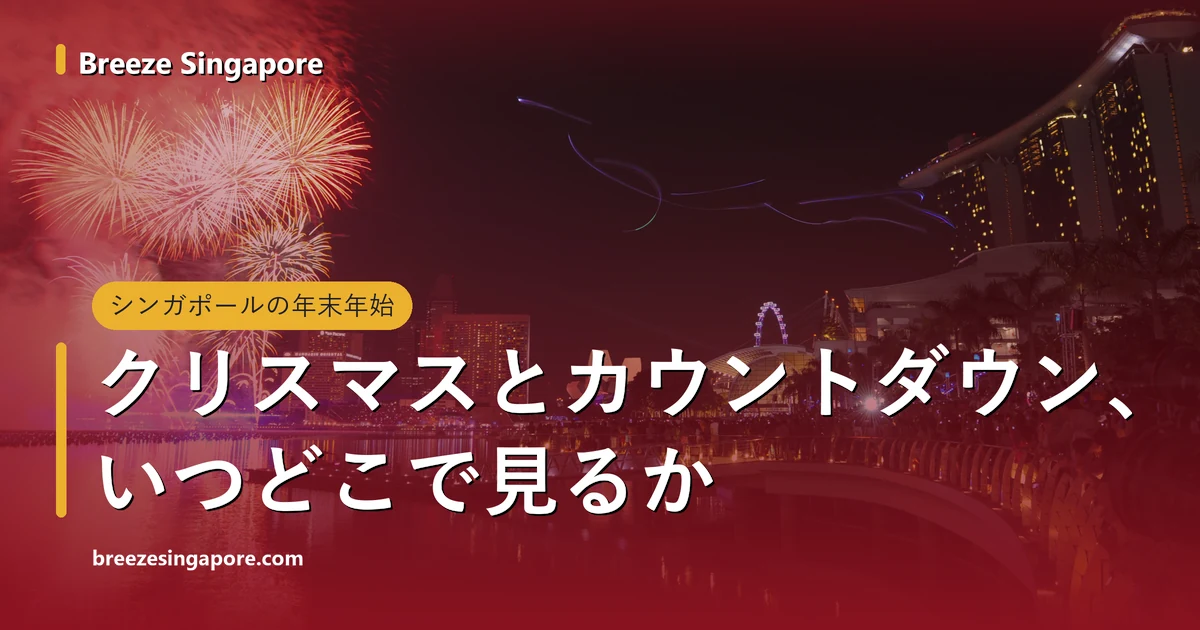 0時過ぎのマリーナ・ベイの空に上がる新年の花火と、水の向こうのマリーナベイ・サンズやシンガポール・フライヤー