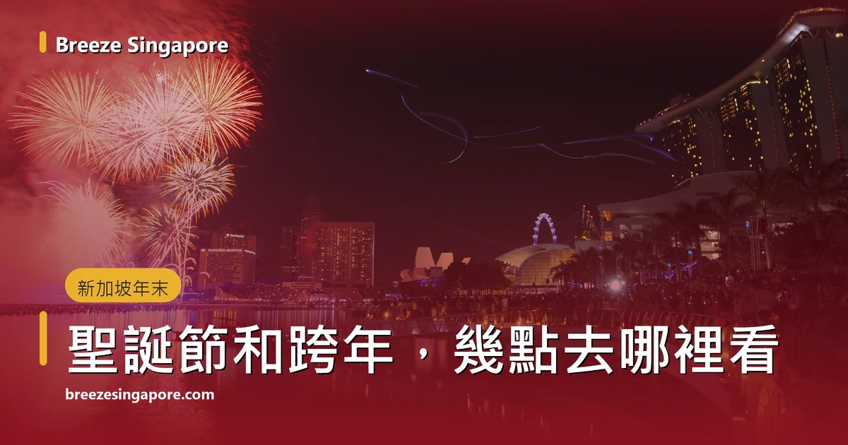 零點剛過，濱海灣上空的新年煙花，對岸是濱海灣金沙和摩天觀景輪