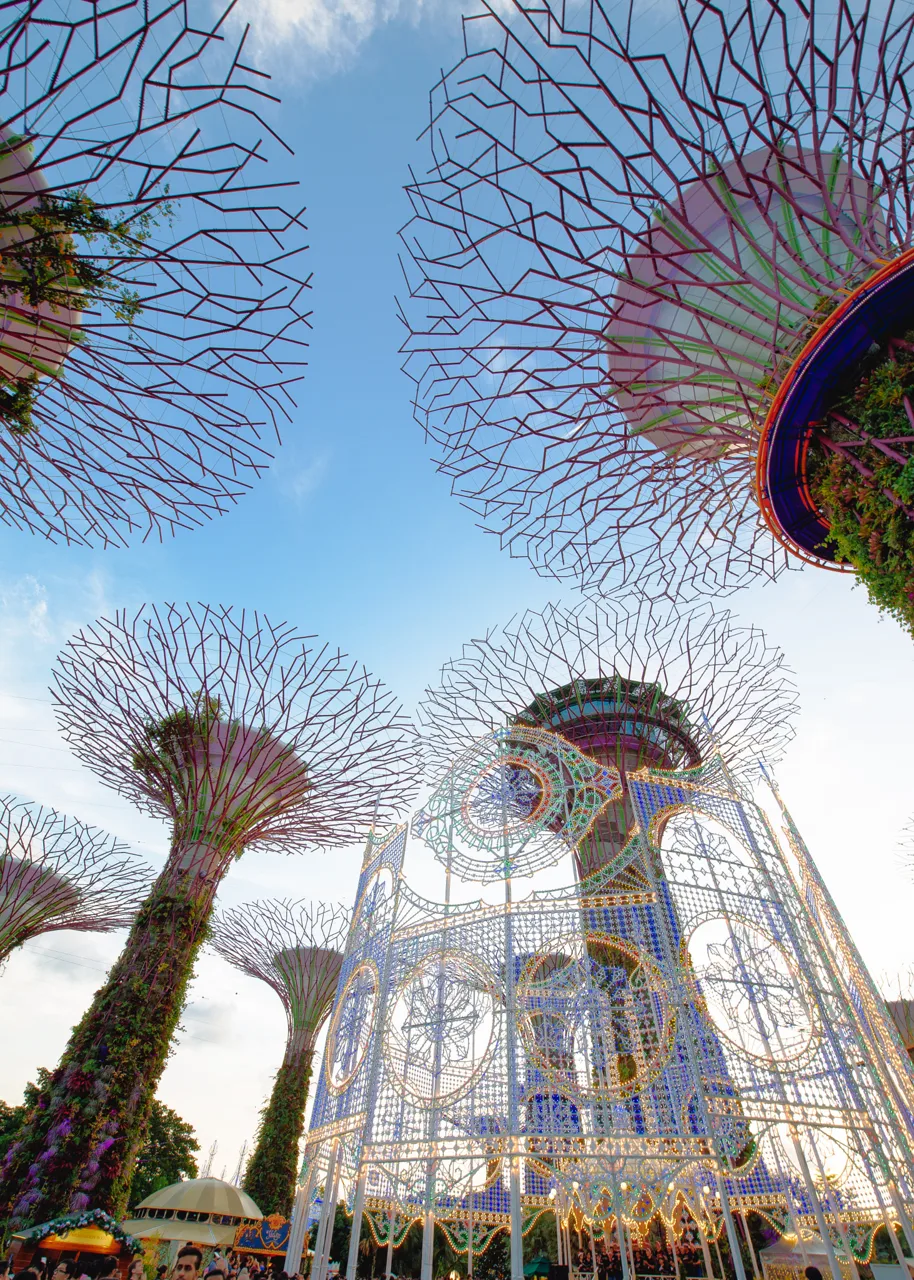 Supertrees seen from below in daylight, with a white lattice Christmas Wonderland light structure in front of them.